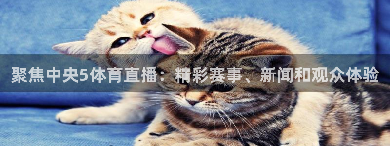 833直播足球比赛官网：聚焦中央5体育直播：精彩赛事、新闻和观众体验