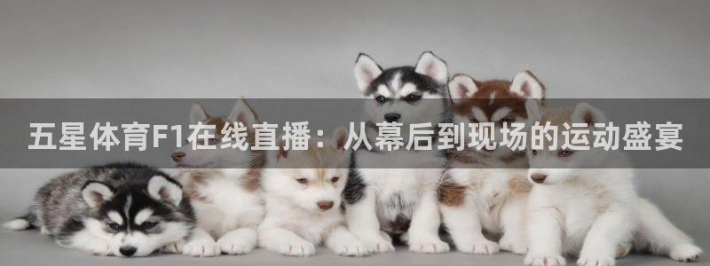 833直播足球比赛在线观看：五星体育F1在线直播：从幕后到现场的运动盛宴