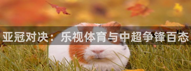 833体育免费直播入口：亚冠对决：乐视体育与中超争锋百态