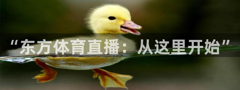 833足球直播免费观看直播：“东方体育直播：从这里开始”