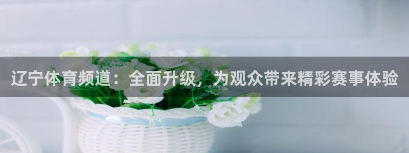 833看球直播在线观看：辽宁体育频道：全面升级，为观众带来精彩赛事体验
