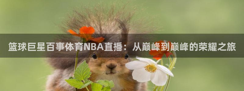 833球赛直播：篮球巨星百事体育NBA直播：从巅峰到巅峰的荣耀之旅