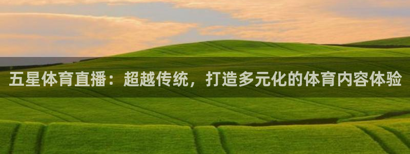 833体育免费直播入口：五星体育直播：超越传统，打造多元化的体育内容体验