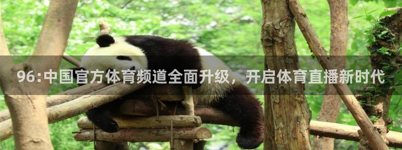 833直播体育app：96:中国官方体育频道全面升级，开启体育直播新时代