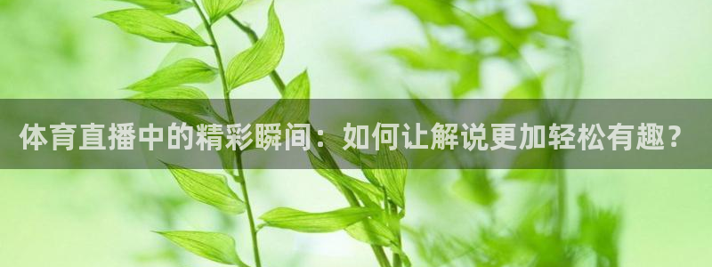 833足球直播免费完整：体育直播中的精彩瞬间：如何让解说更加轻松有趣？