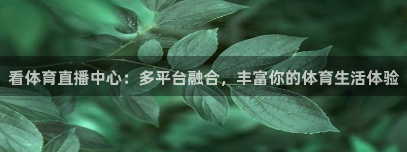 833直播nba：看体育直播中心：多平台融合，丰富你的体育生活体验