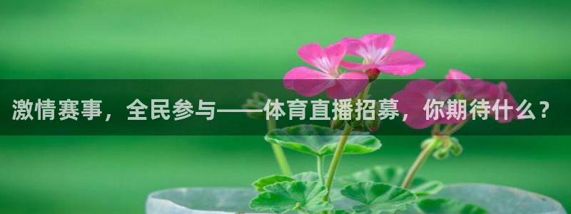 833体育在线直播在线看：激情赛事，全民参与——体育直播招募，你期待什么？