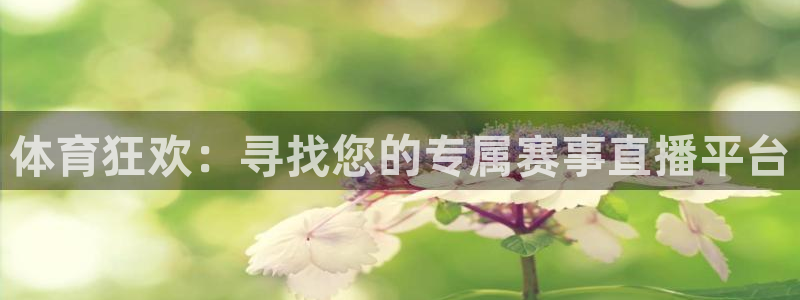 nba833直播：体育狂欢：寻找您的专属赛事直播平台